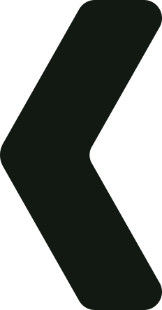 Snehasrushti